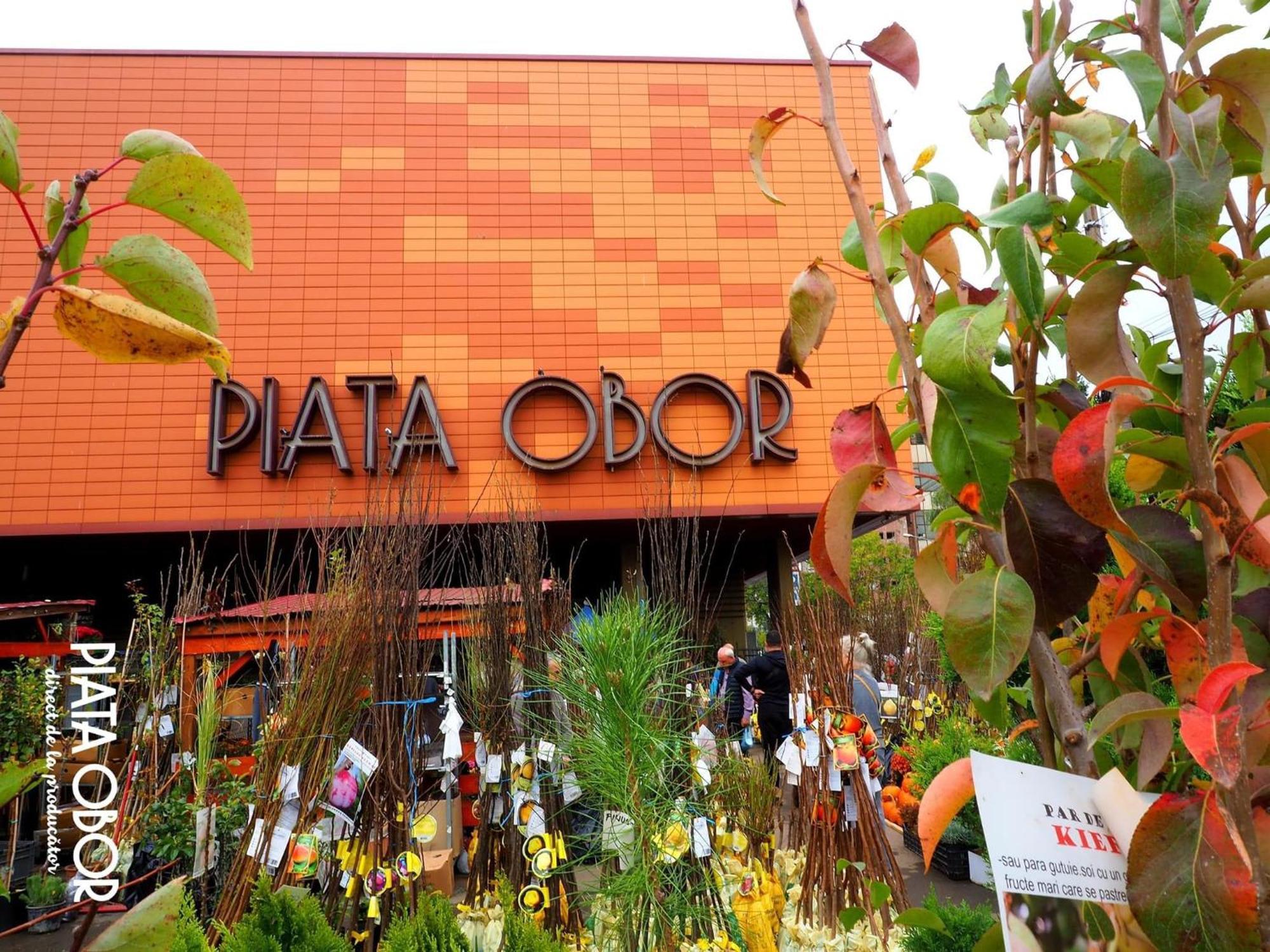 Cozy City Retreat, Obor Market & Metro Bucureşti Ngoại thất bức ảnh